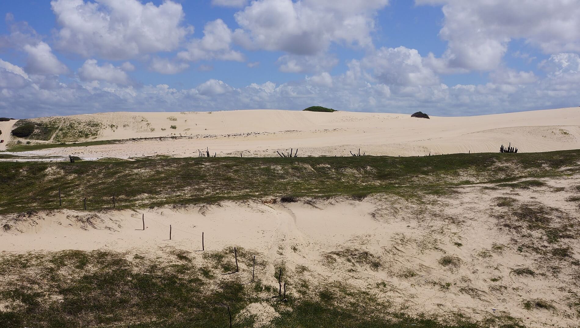 Projeto de Recuperação e Estabilização Costeira – Manejo Ambiental de Praia e Duna em Fortaleza/CE