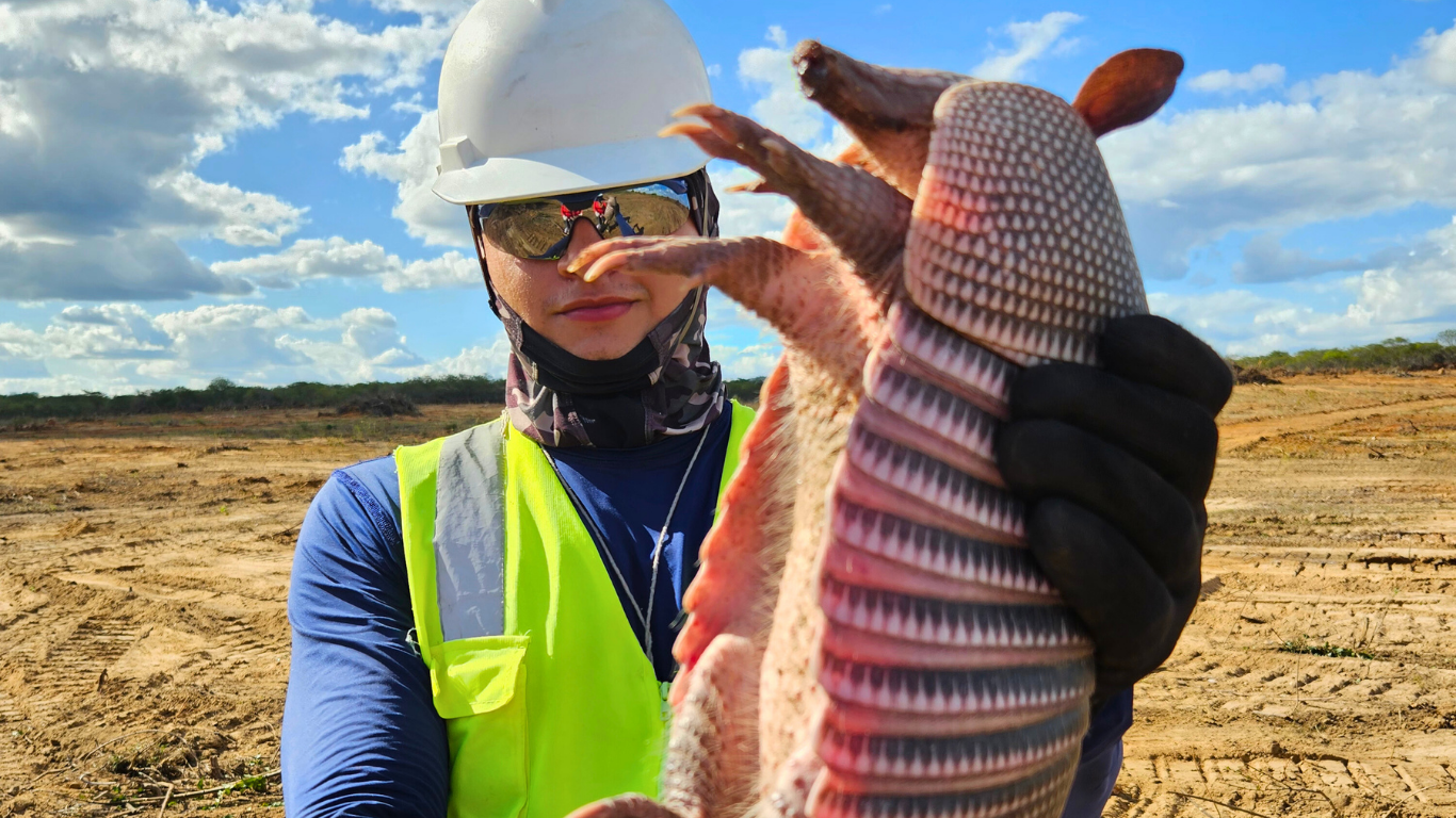 Dia do Profissional da Biologia: Ciência e compromisso com a perenidade socioambiental