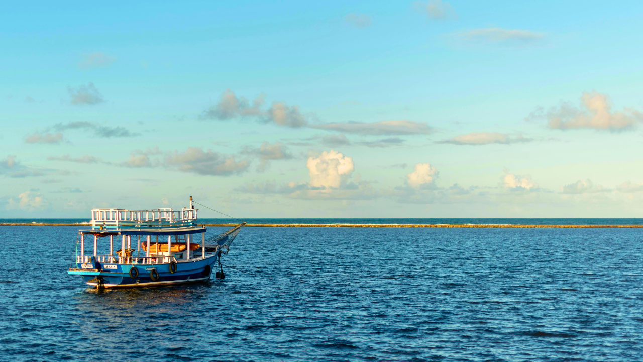 Plano Territorial de Desenvolvimento Sustentável e Solidário da Bahia – PTDS
