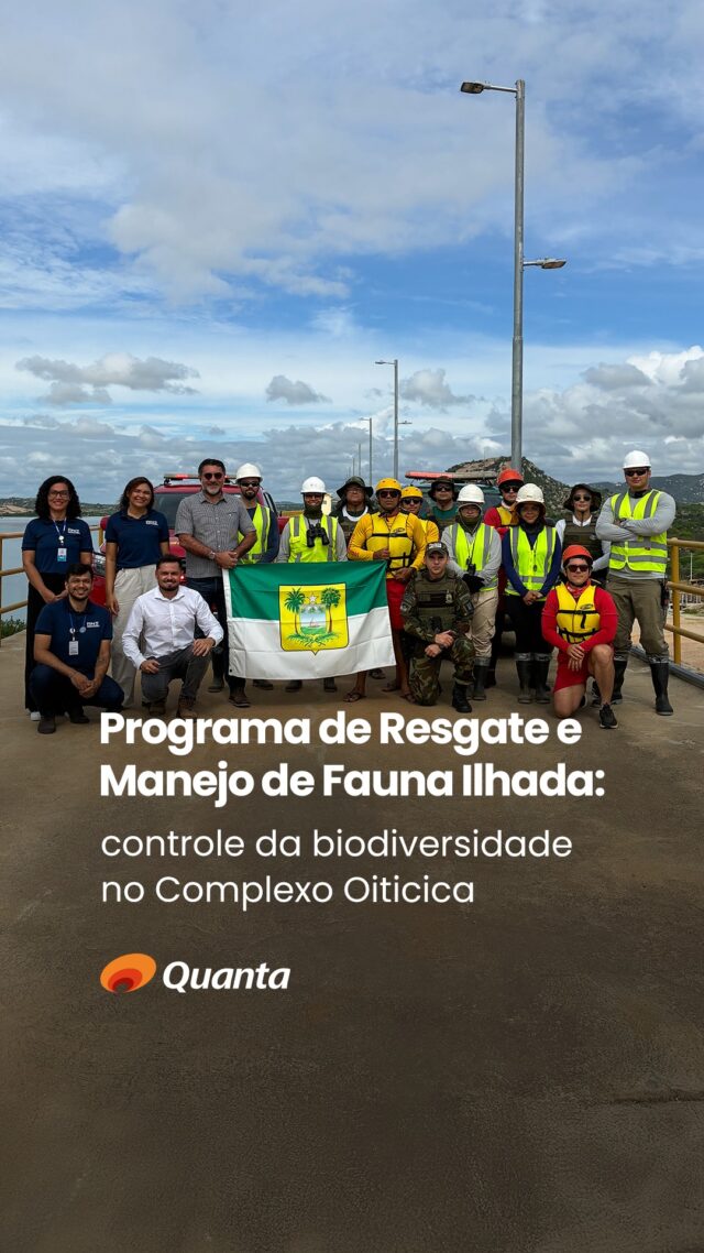 Na última semana, foi realizada a 2ª Operação de Resgate de Fauna Ilhada no Complexo Hidrossocial Barragem Oiticica, no Rio Grande do Norte. 🐍

A atividade faz parte das ações ambientais associadas à formação do reservatório e contou com a atuação integrada do Policiamento Ambiental da Polícia Militar do RN (@bpamb.pmrn), do Corpo de Bombeiros Militar do RN (@corpodebombeirosdorn), da Secretaria de Estado do Meio Ambiente e dos Recursos Hídricos (@semarhrn) e da equipe técnica de biólogos da Quanta.

A iniciativa tem como objetivo proteger a biodiversidade local, realizando o resgate de animais que ficam isolados com a elevação do nível da água e assegurando o cumprimento das condicionantes ambientais do empreendimento.

A atuação integrada entre instituições e equipes técnicas reforça o compromisso com a gestão ambiental responsável, contribuindo para que grandes obras de infraestrutura sejam acompanhadas por ações efetivas de preservação da fauna e dos ecossistemas.

▶️ Assista ao vídeo e conheça um pouco mais sobre essa operação e o trabalho técnico realizado em campo.

#QuantaConsultoria #MeioAmbiente #ResgateDeFauna #GestãoAmbiental #Sustentabilidade #BarragemOiticica