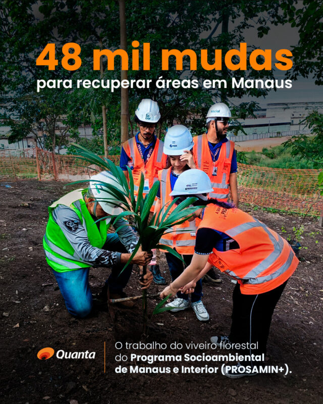 Você já parou para pensar onde começa a recuperação de uma área degradada? Muita gente imagina que esse trabalho começa no plantio. Mas, antes que uma muda chegue ao solo, existe um processo que envolve coleta de sementes, produção de espécies nativas, acompanhamento do desenvolvimento das plantas e planejamento das áreas que serão recuperadas. É no viveiro florestal que esse ciclo ganha forma. No Programa Social e Ambiental de Manaus e Interior (PROSAMIN+), o viveiro apoia ações de reflorestamento, recomposição da vegetação nativa, paisagismo e estabilização de taludes. Entre as espécies produzidas estão andiroba, copaíba, buriti, ingá, açaí e outras árvores amazônicas que contribuem para a recuperação ecológica das áreas de intervenção. Outro destaque é o Vetiver, uma gramínea utilizada em soluções de bioengenharia. Suas raízes profundas ajudam a estabilizar o solo, reduzir processos erosivos e proteger taludes, especialmente em uma região marcada por chuvas intensas, como a Amazônia. Até o momento, as ações da Obra 01 já contabilizam 22.251 mudas plantadas, entre elas 22 mil mudas de Vetiver, alcançando 45,6% da meta prevista para a recuperação ambiental das áreas de intervenção. Na matéria completa, mostramos como o viveiro funciona, quais espécies são produzidas, como elas são utilizadas nas frentes de obra e por que essa estrutura é uma etapa fundamental para a recuperação ambiental desenvolvida pelo PROSAMIN+. Acesse a matéria completa em nosso site. Link na bio. #prosamin+ #manaus #amazonas #sustentabilidade #AM